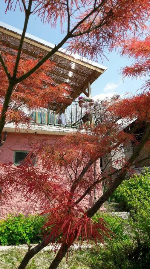 La Casa Rosa Di Segusino With Spa Jacuzzi In Garden Sequsino Exterior photo
